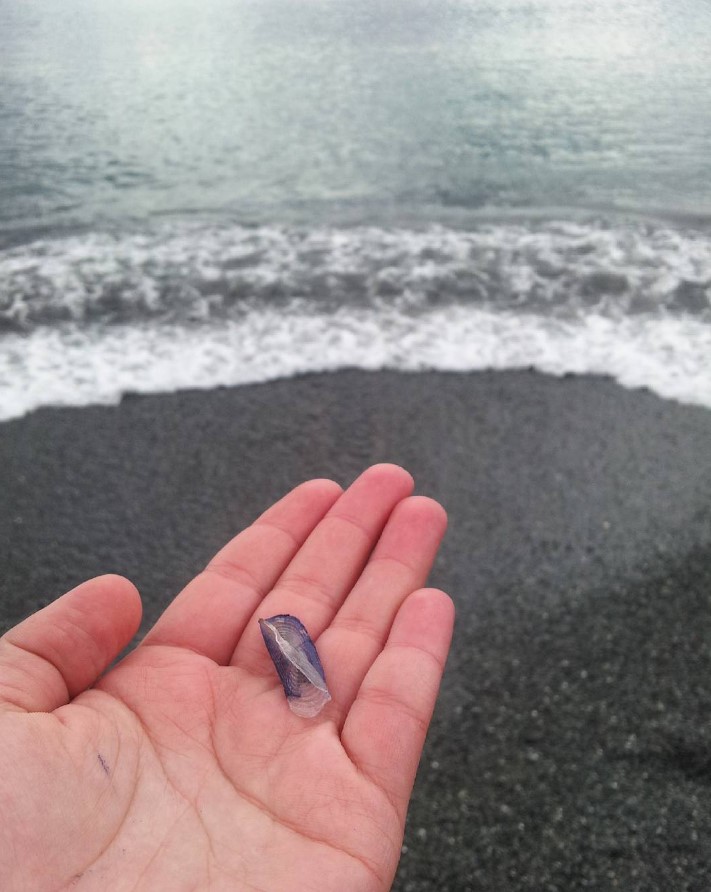 Stranding STR0005