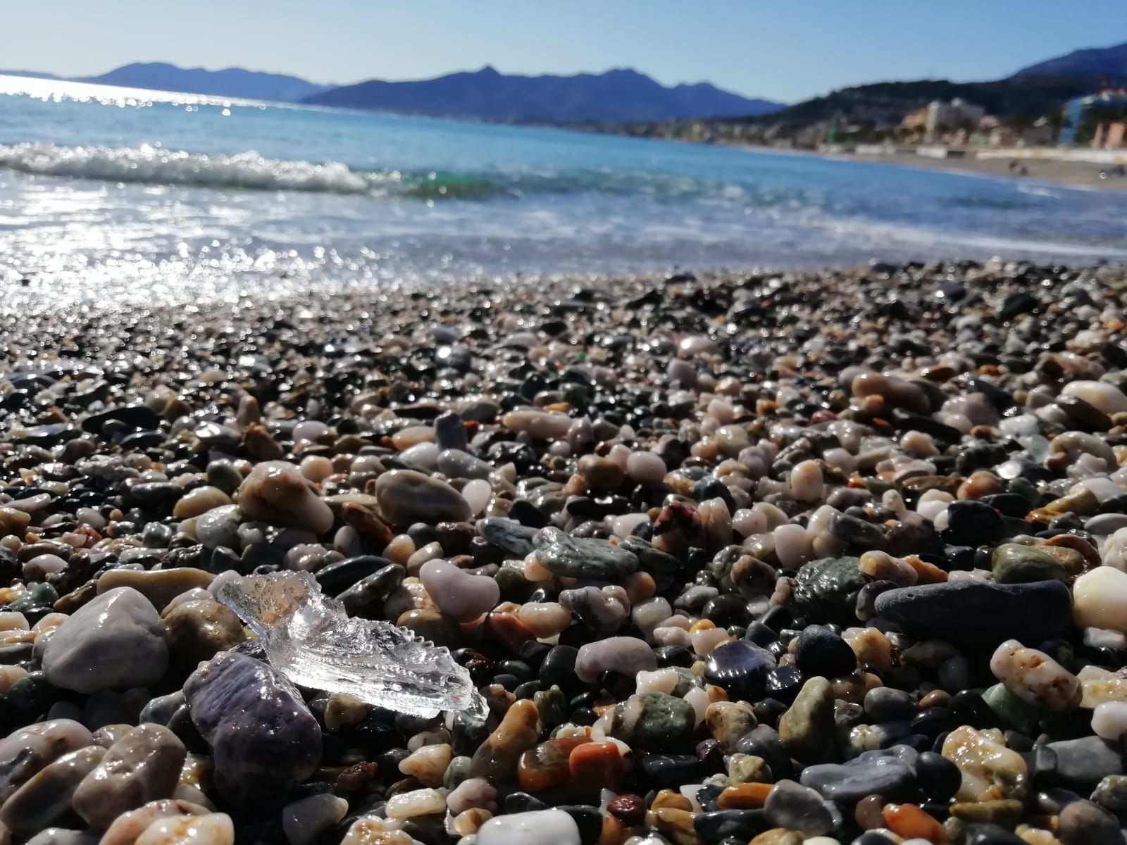 Immagine associata