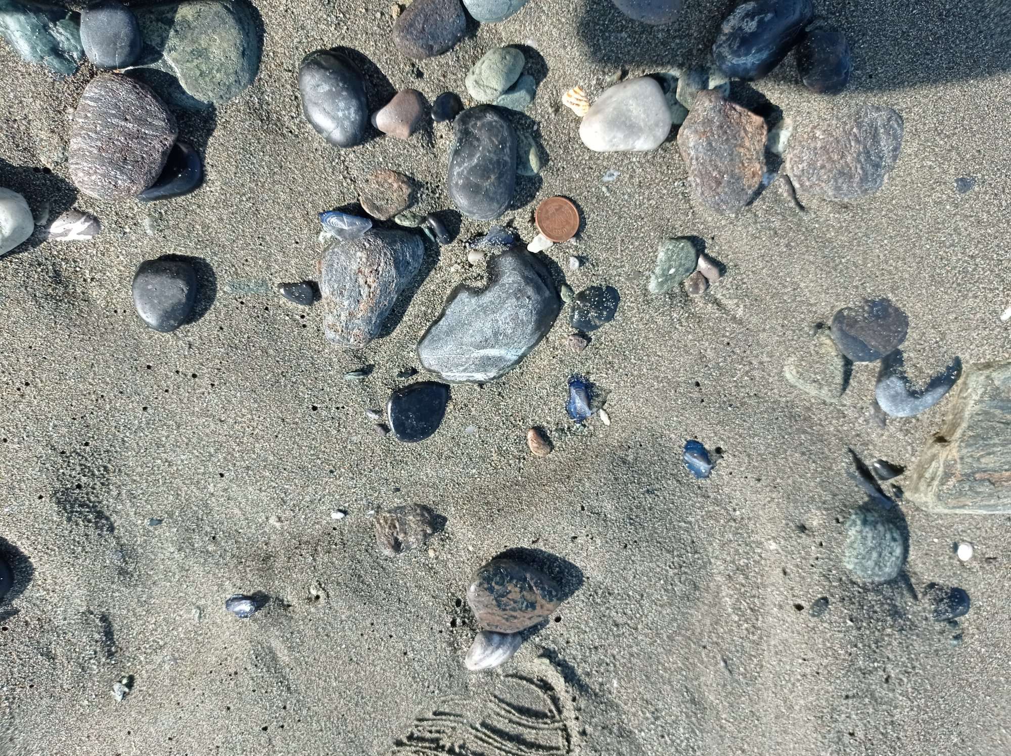 Stranding STR0029
