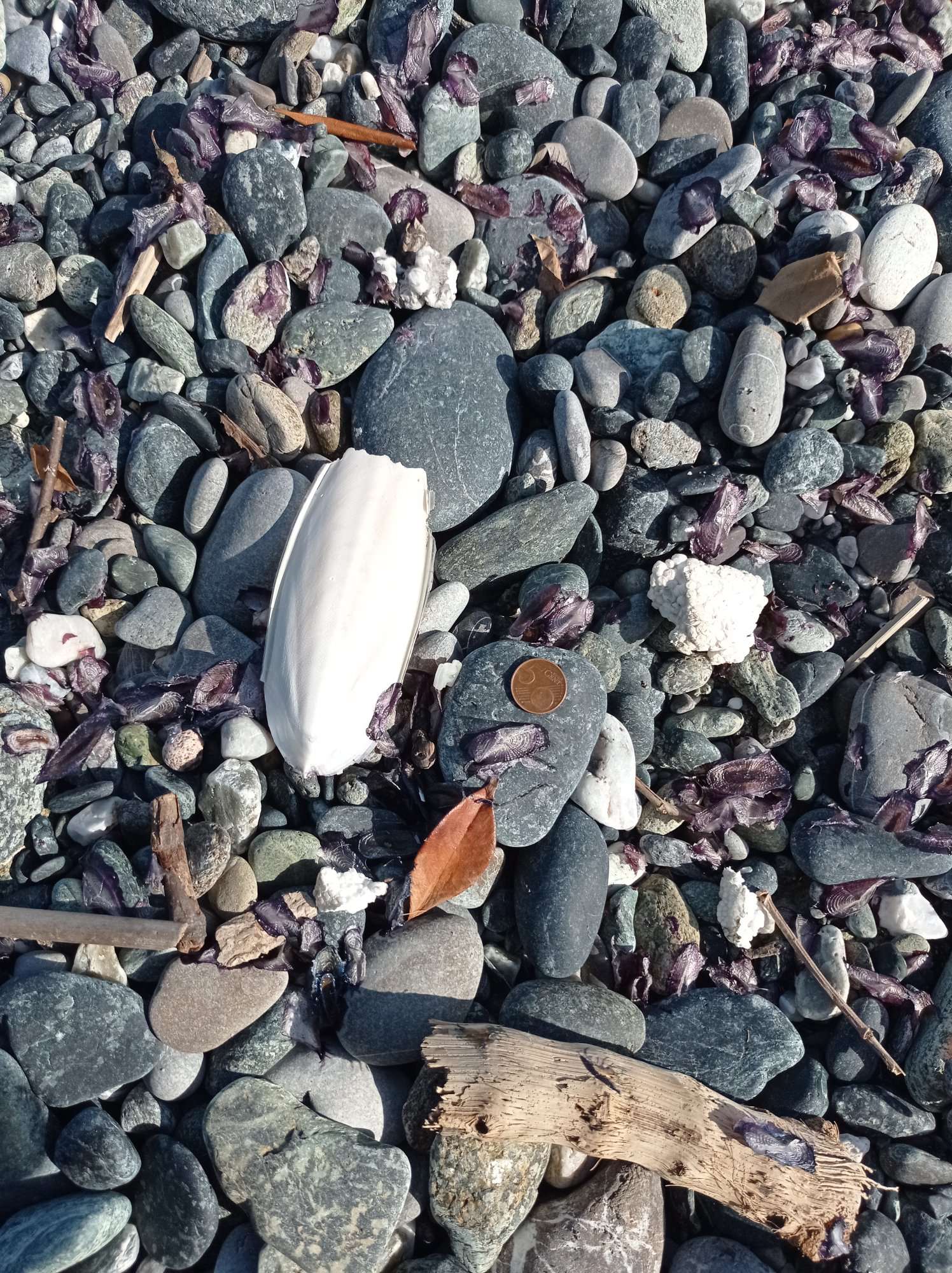 Stranding STR0030