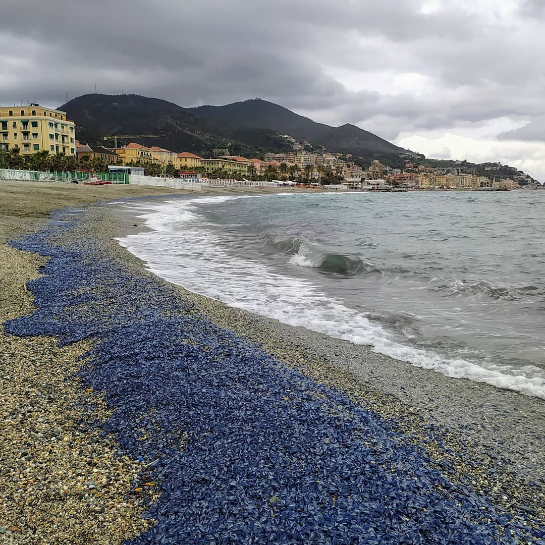 Immagine associata