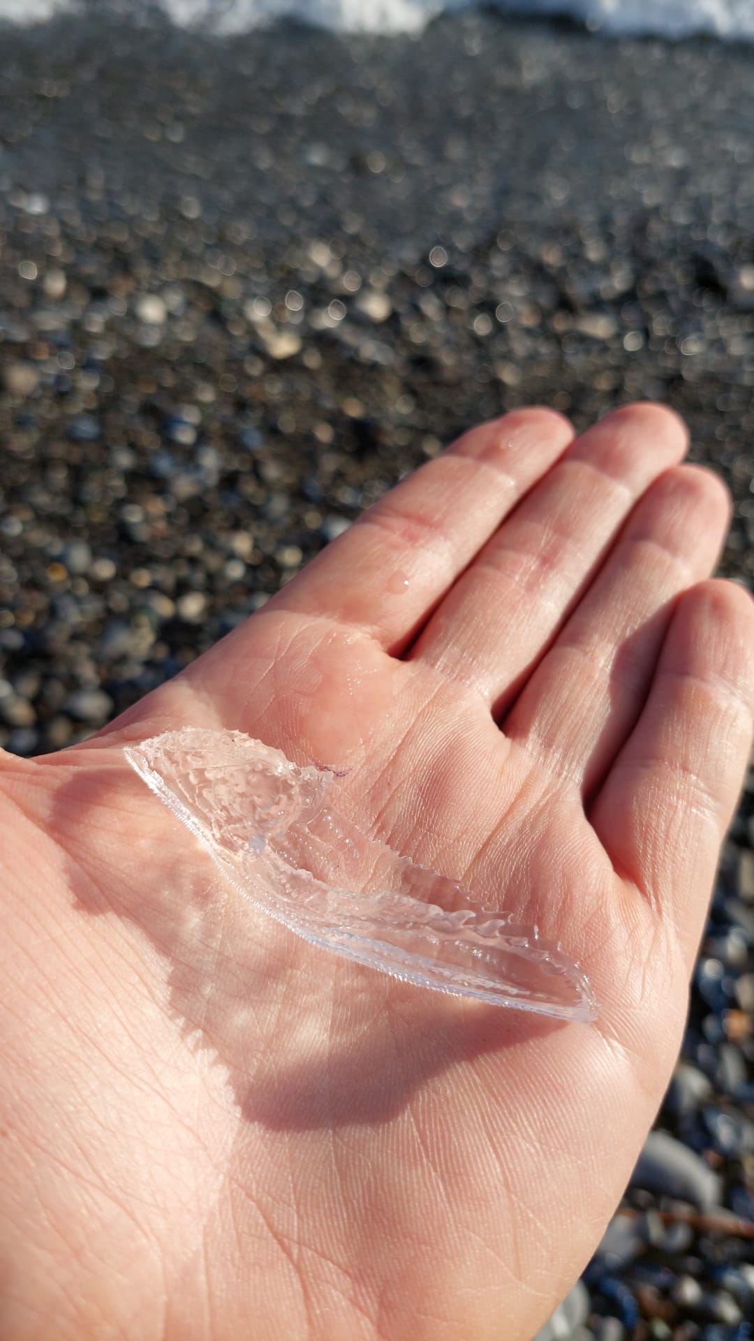 Stranding STR0038