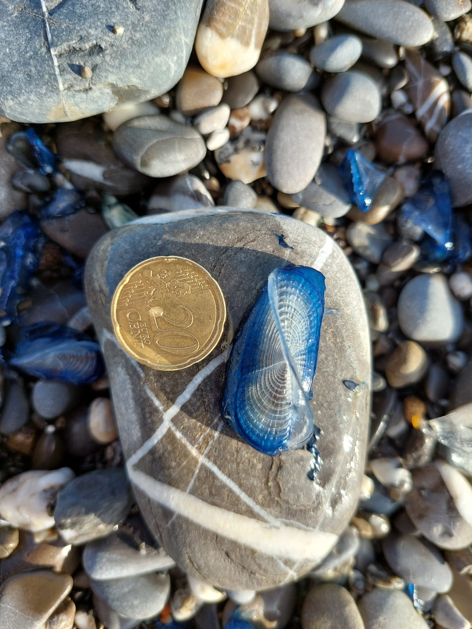 Stranding STR0041