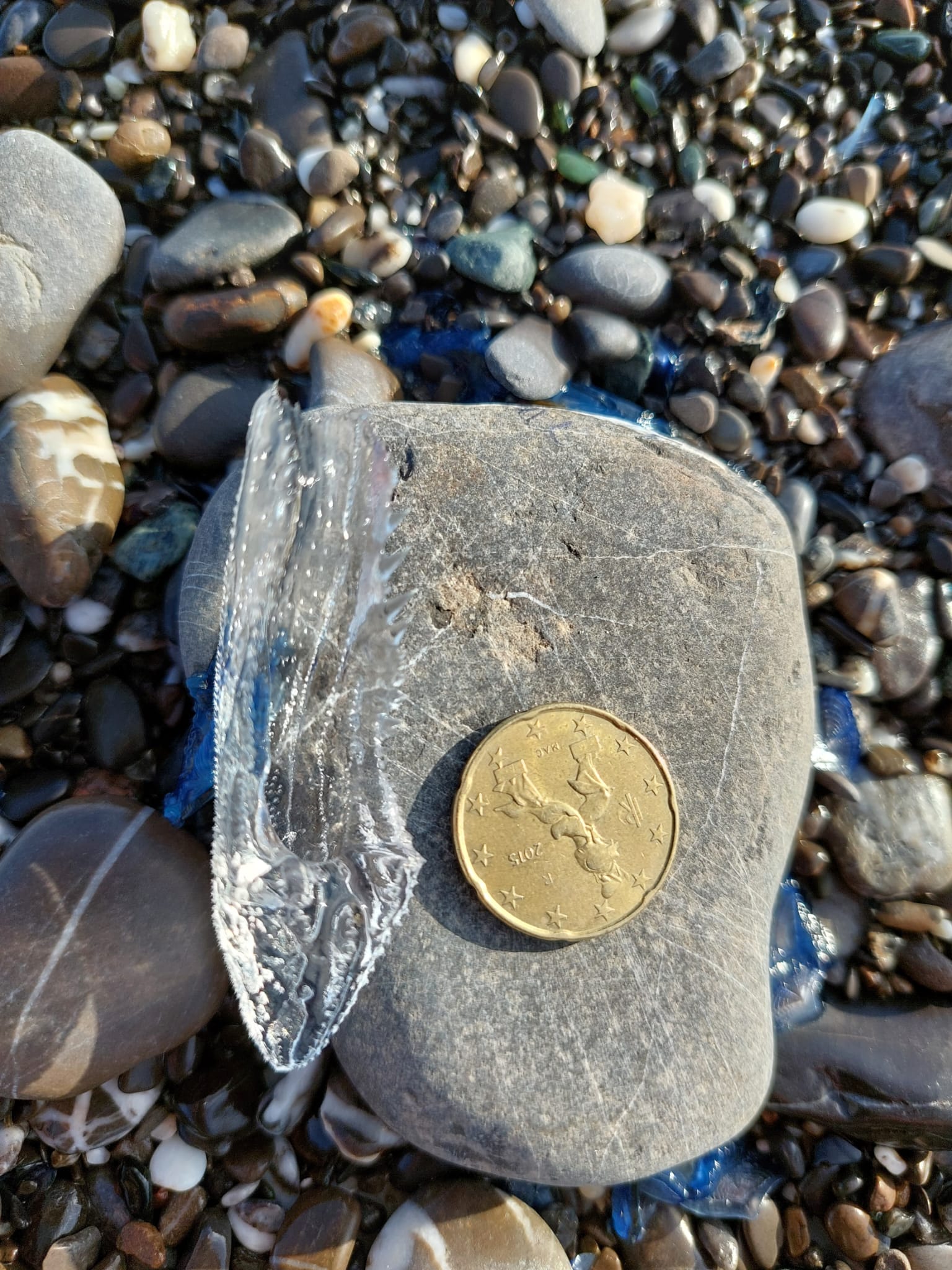 Stranding STR0042