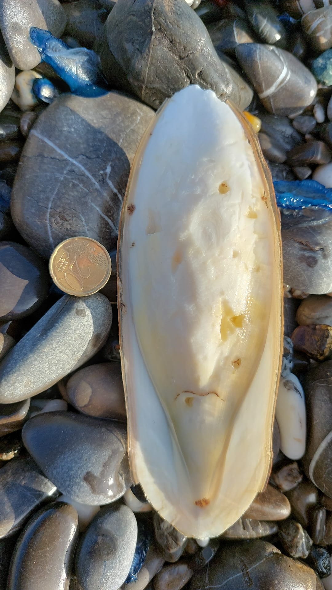 Stranding STR0043
