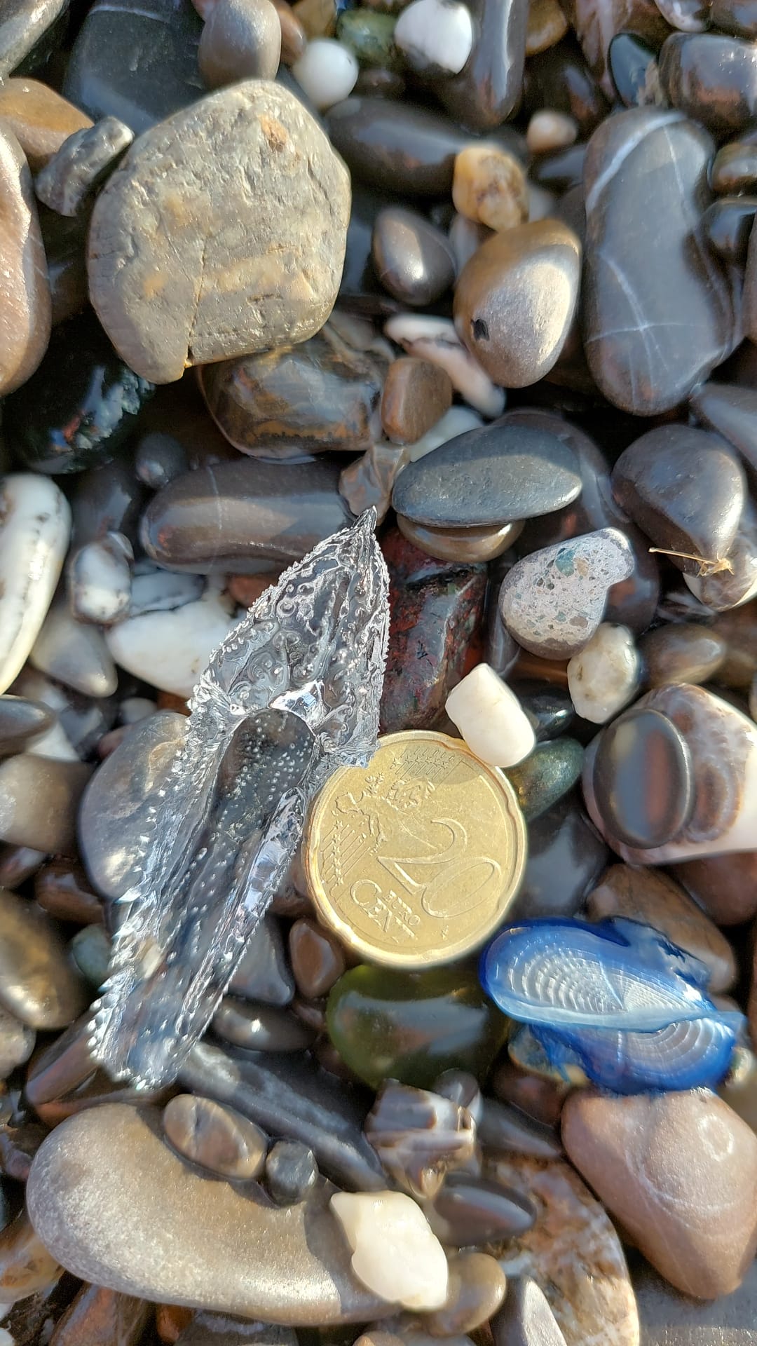 Stranding STR0056