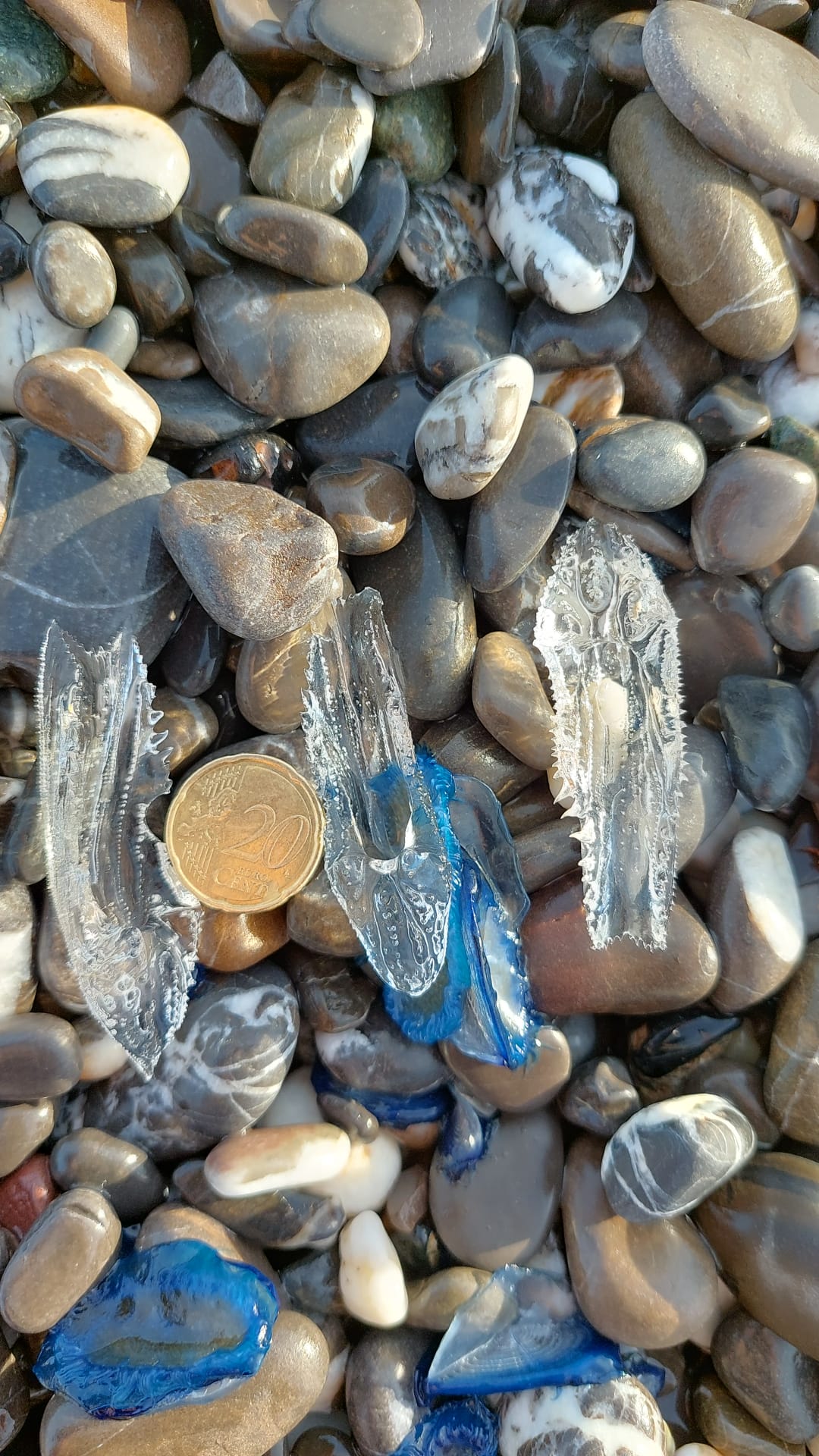 Stranding STR0060