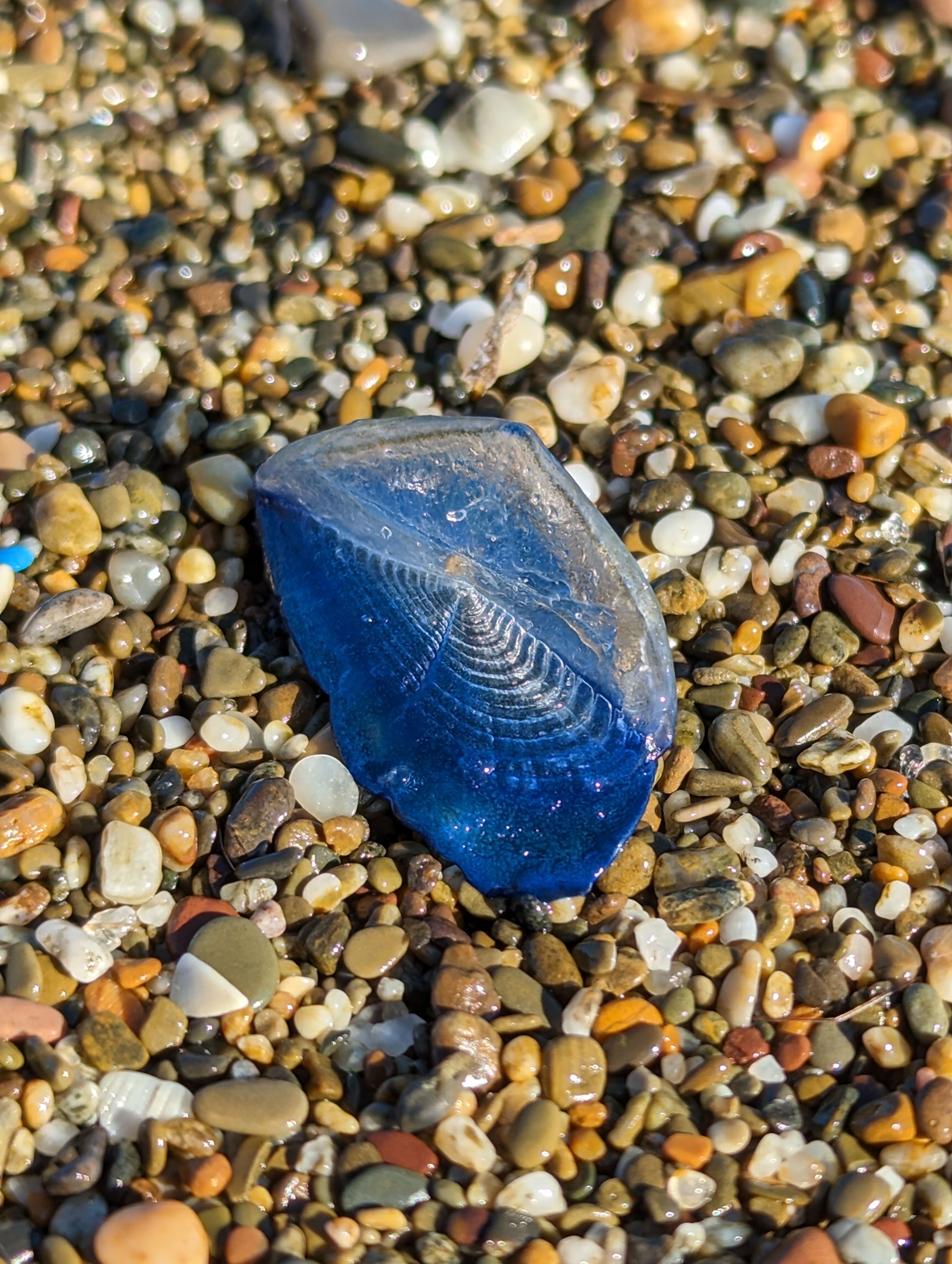 Stranding STR0071