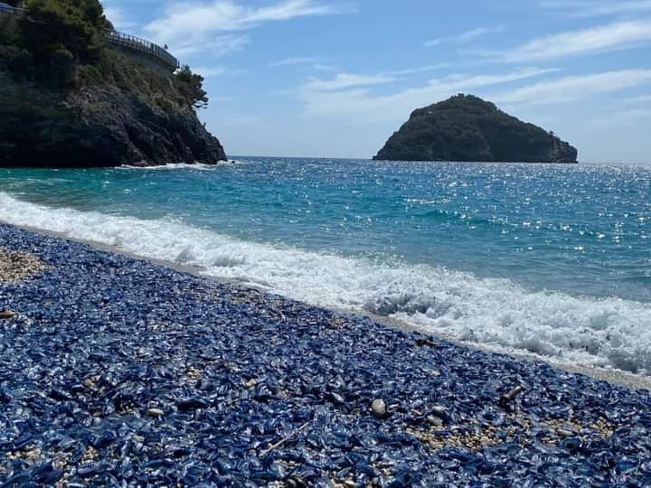 Immagine associata