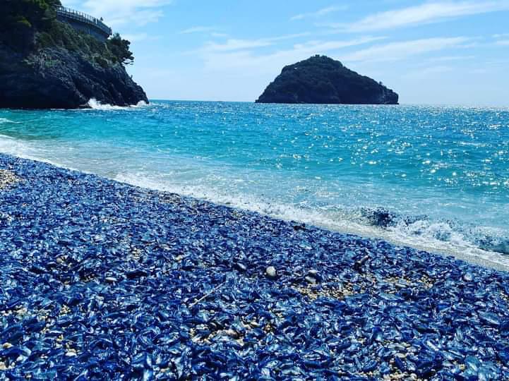 Immagine associata