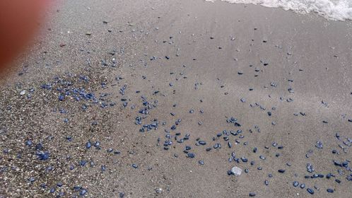 Stranding STR0074