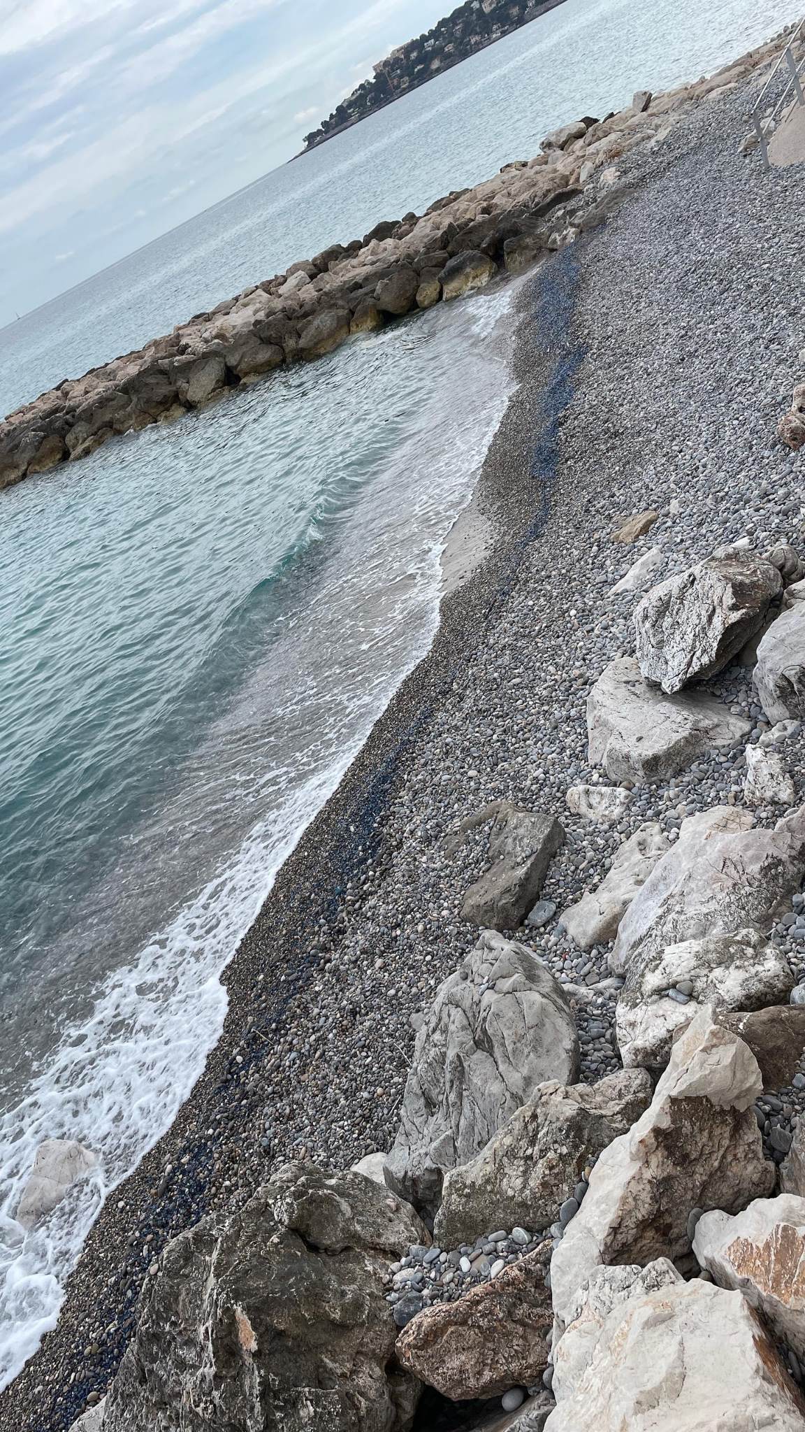 Immagine associata