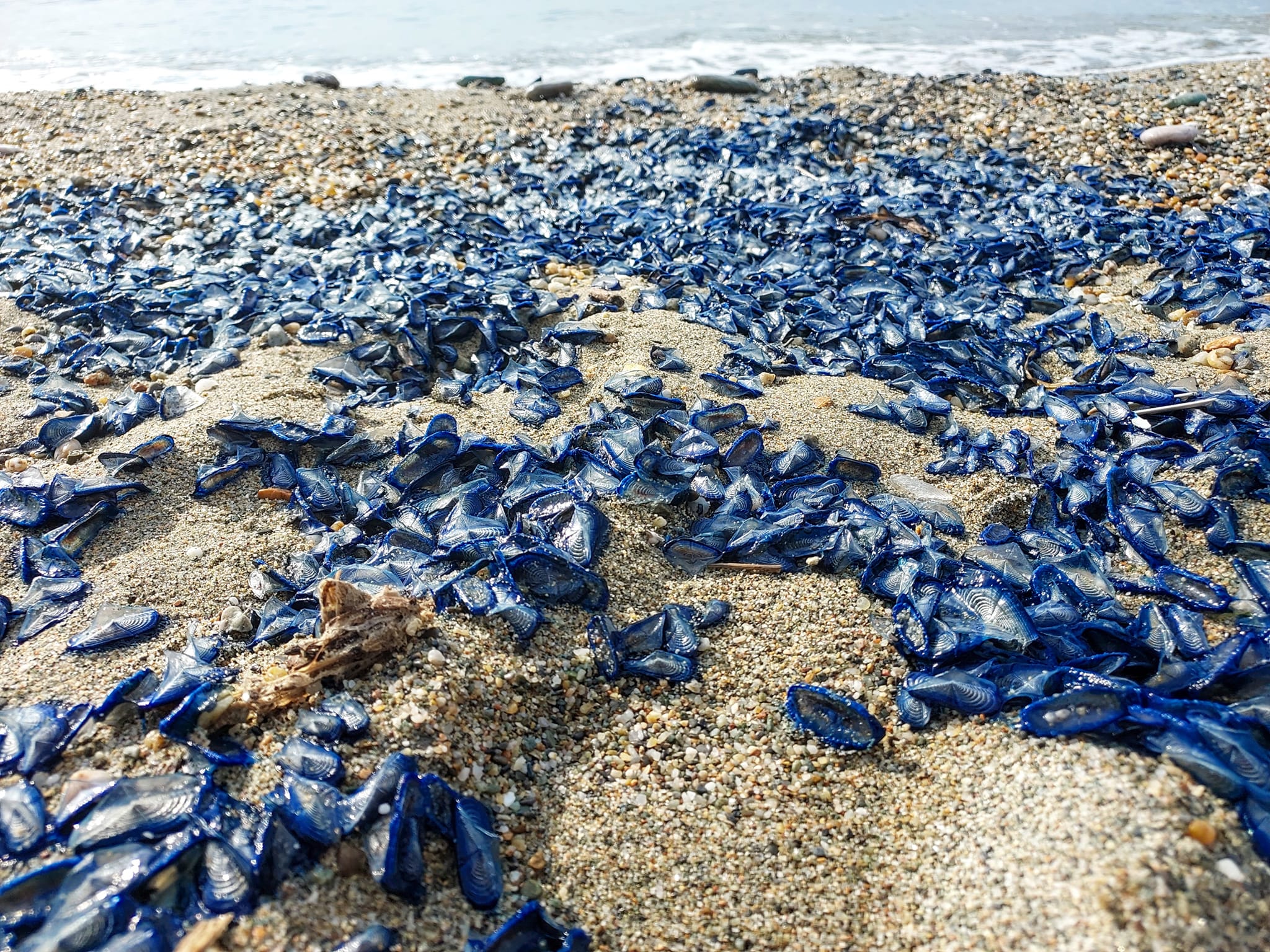 Stranding STR0080