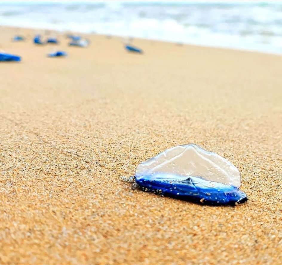 Stranding STR0090