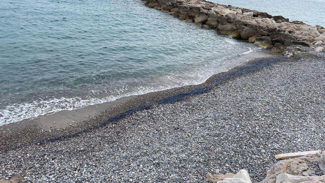 Immagine associata