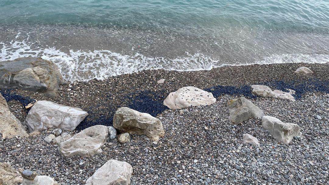 Immagine associata