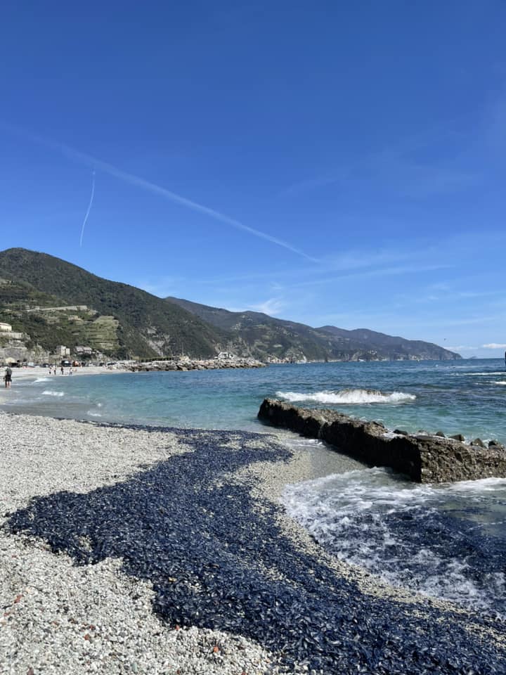 Immagine associata
