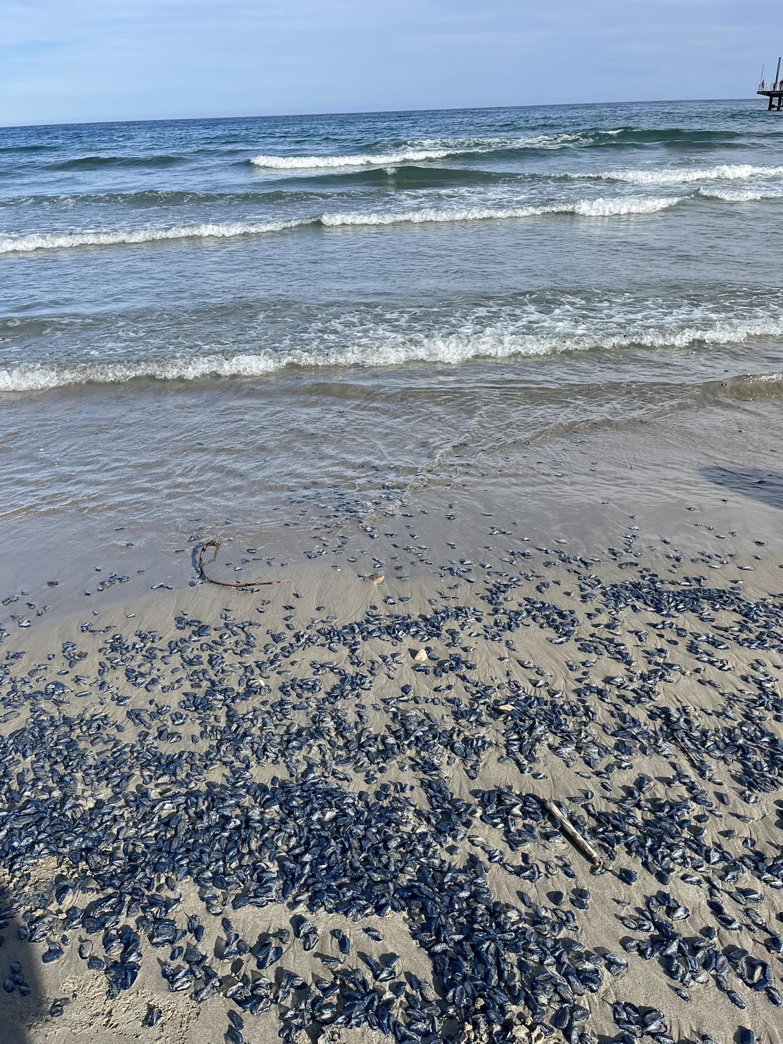 Stranding STR0104