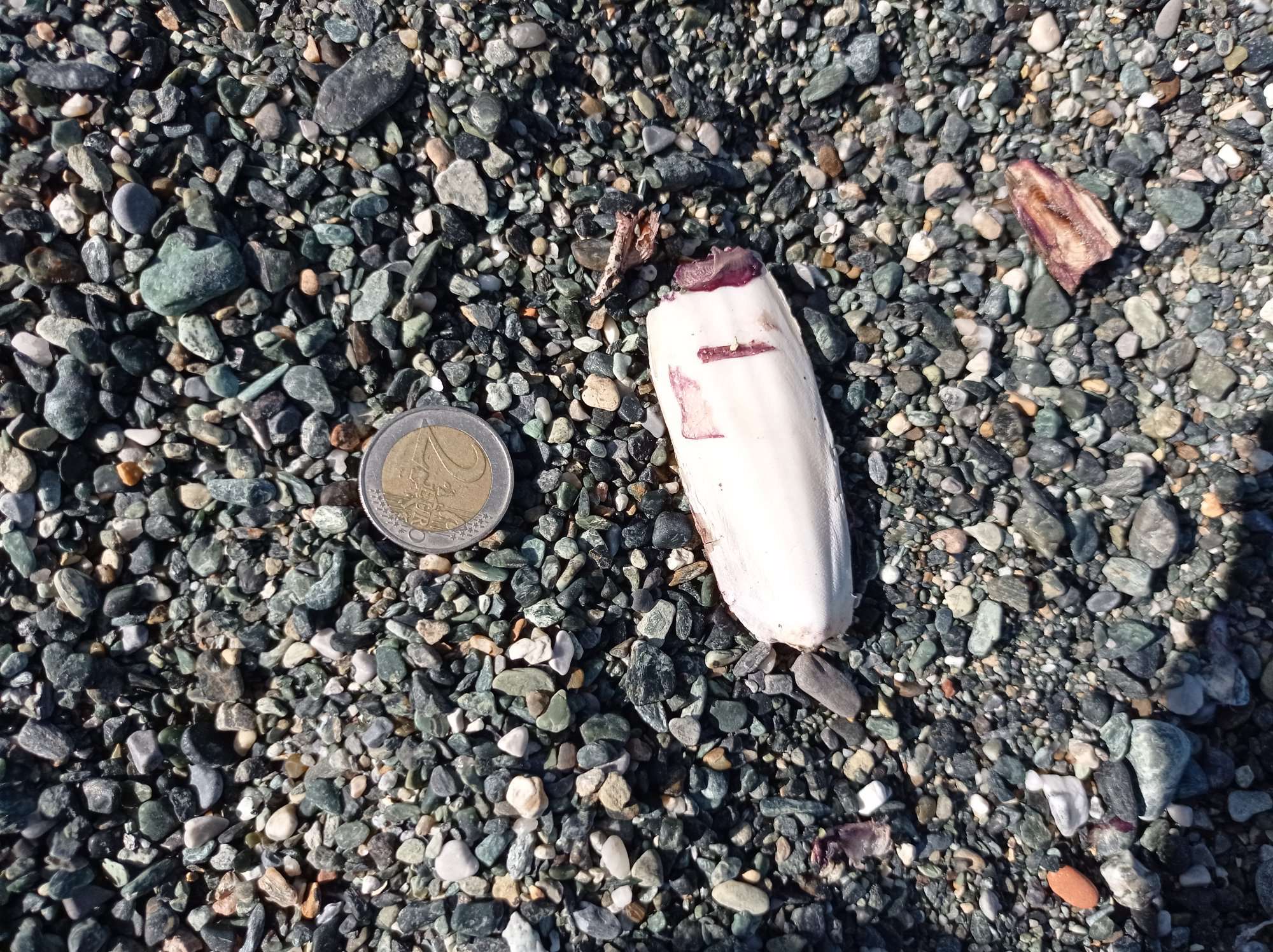 Stranding STR0108