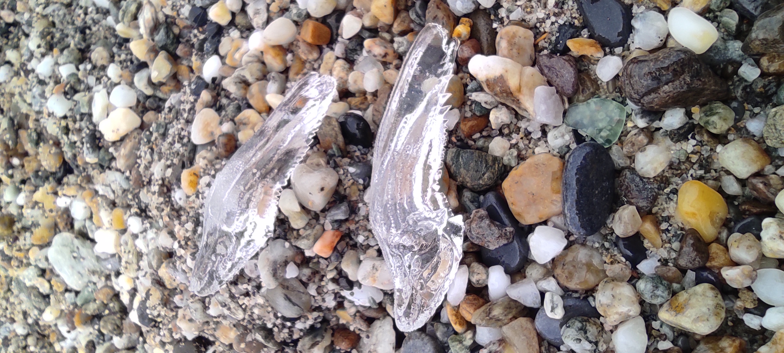Stranding STR0119