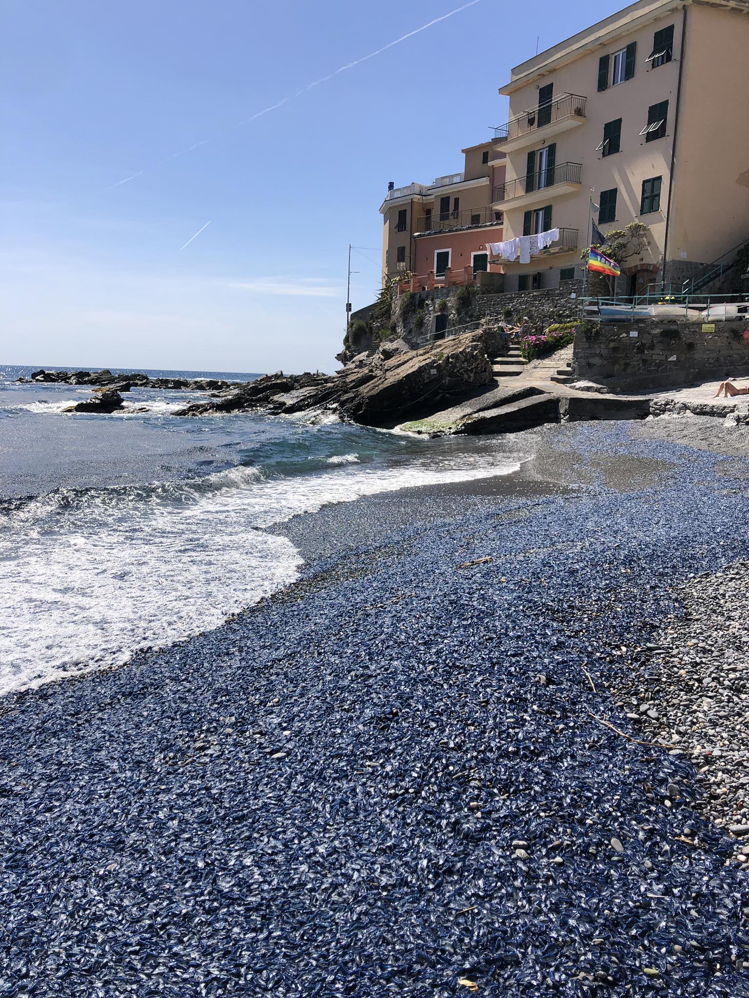 Immagine associata