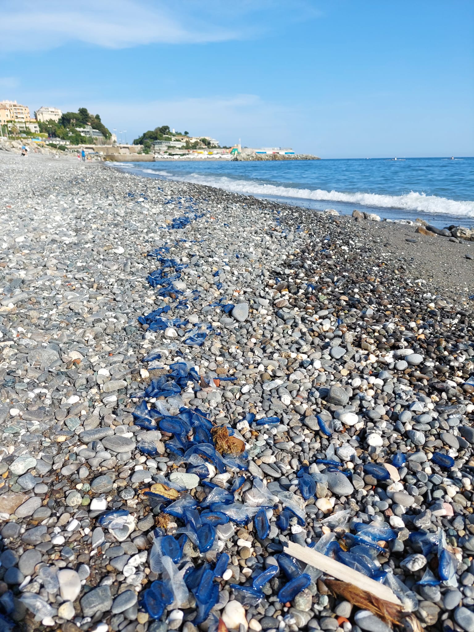 Stranding STR0136