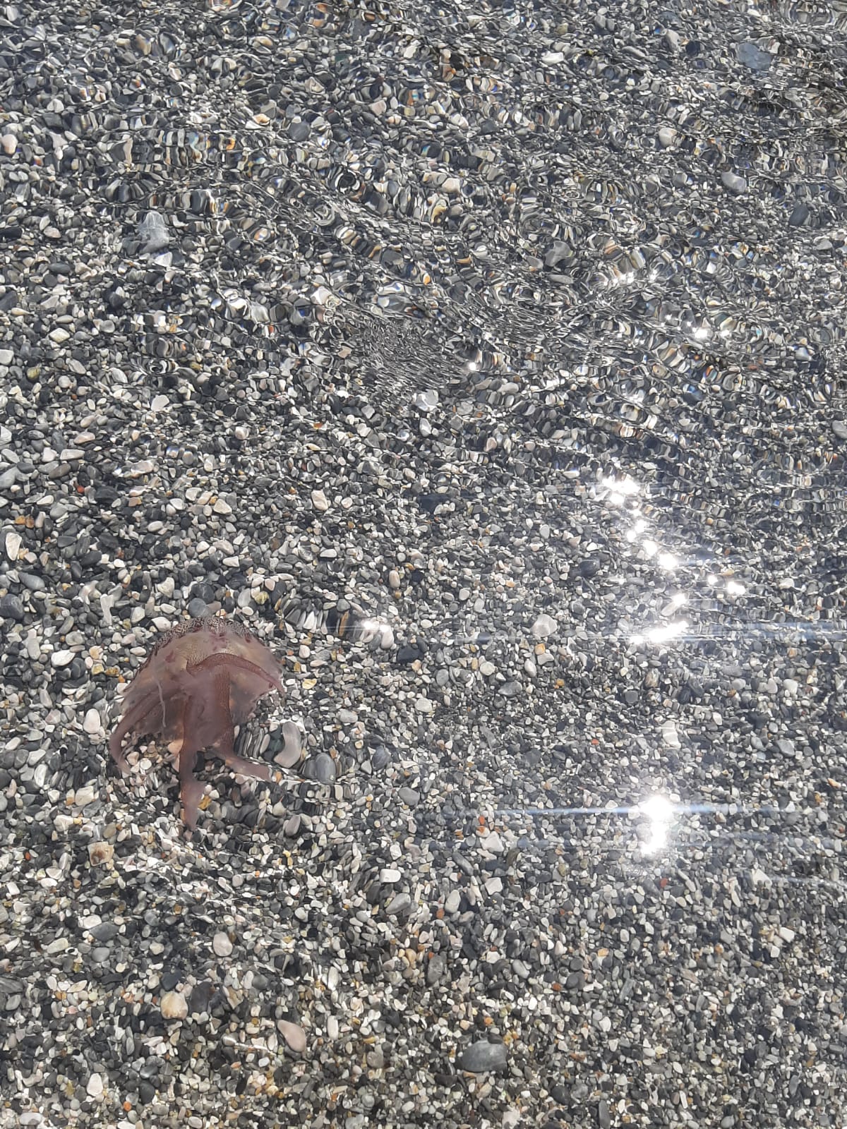 Stranding STR0139