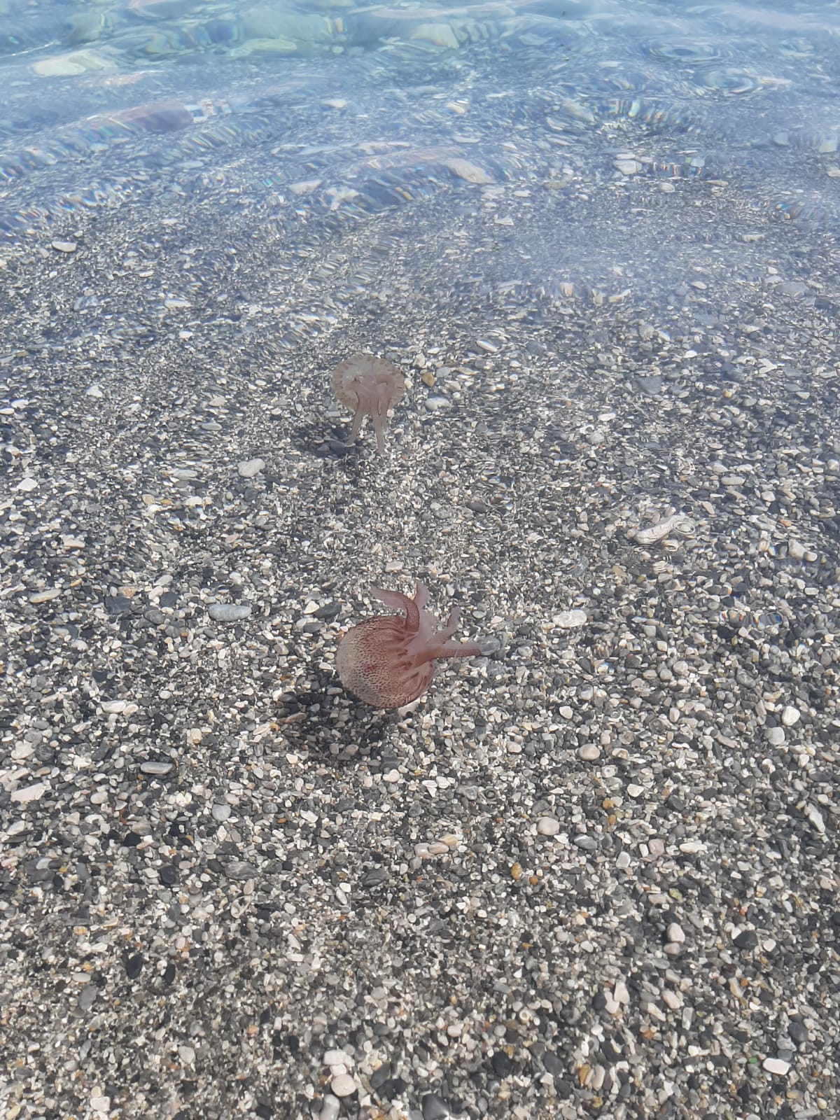 Stranding STR0140