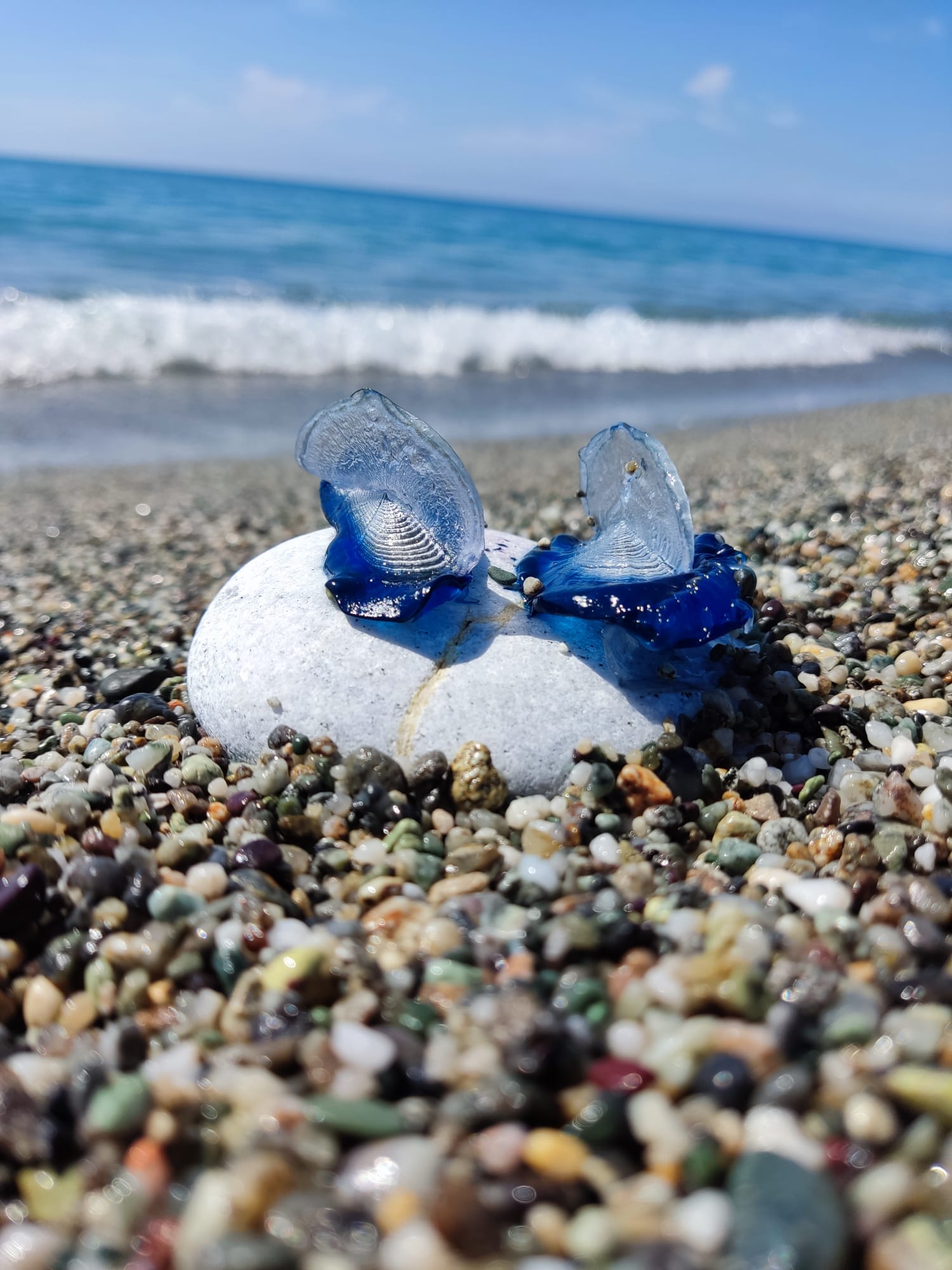 Immagine associata