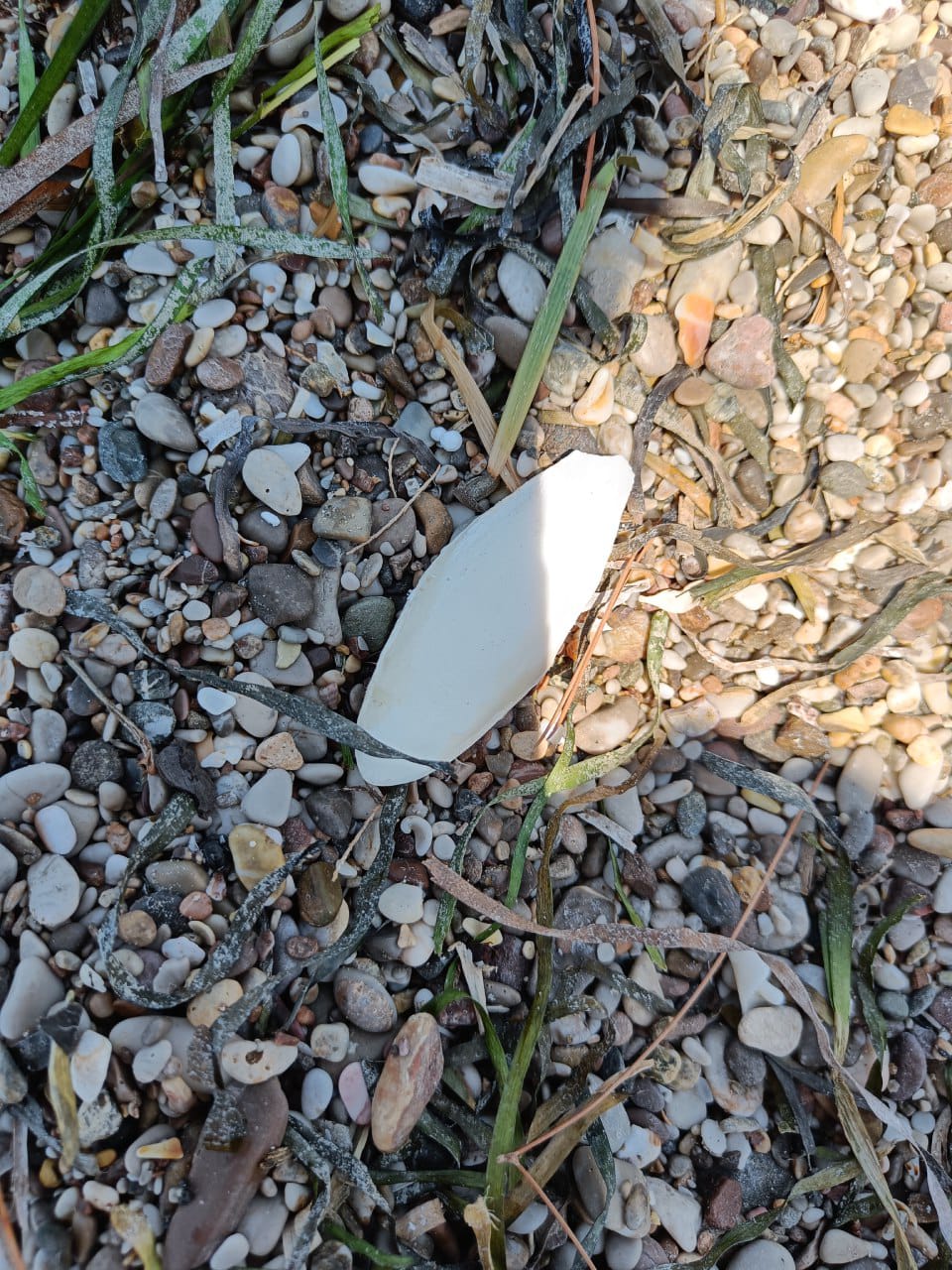 Stranding STR0150