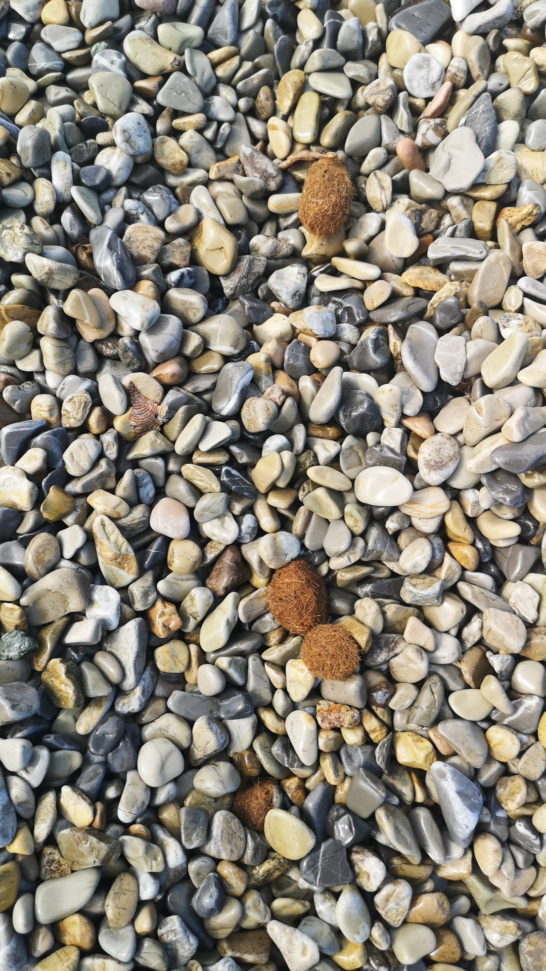Stranding STR0157