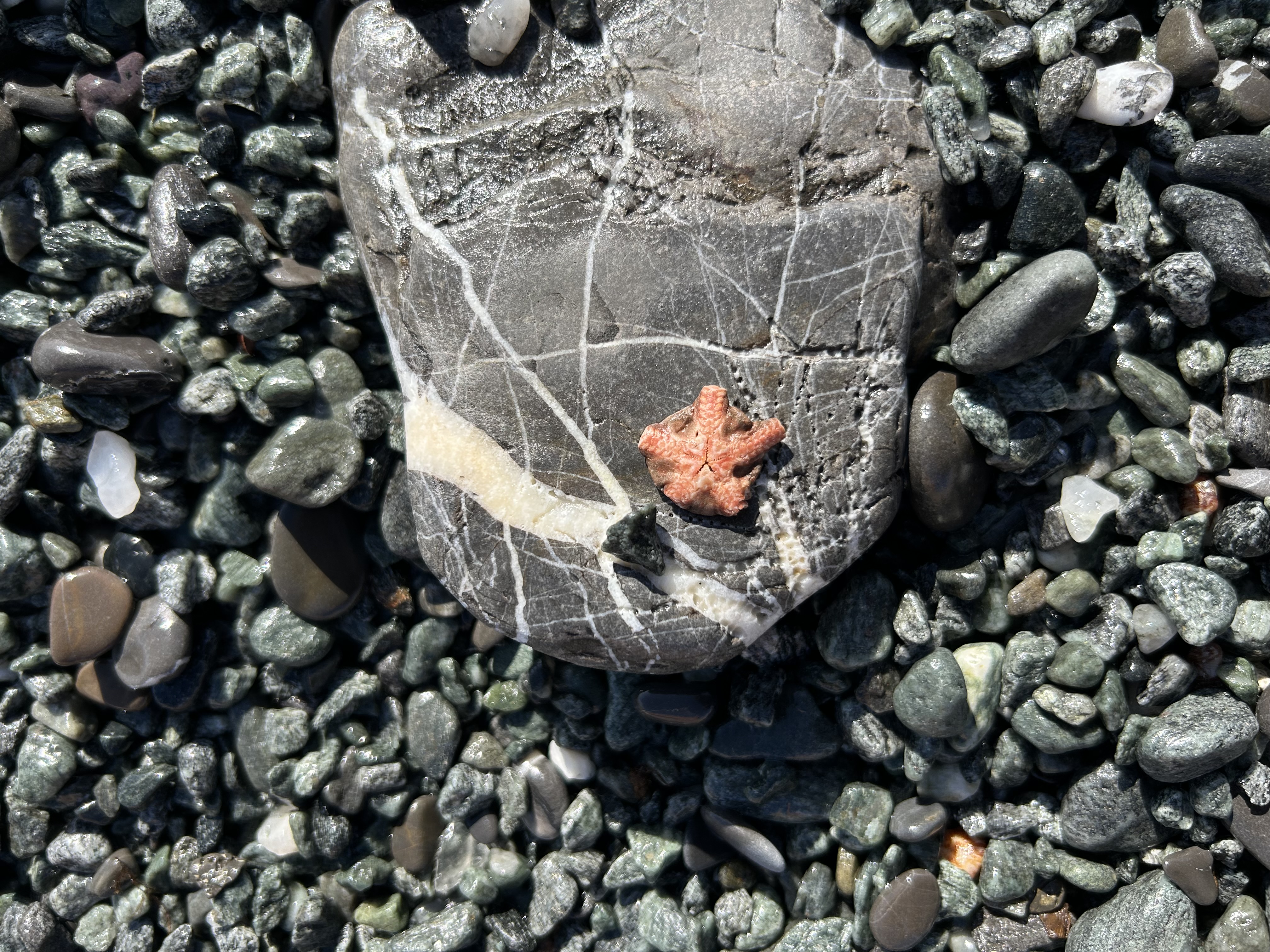Stranding STR0177