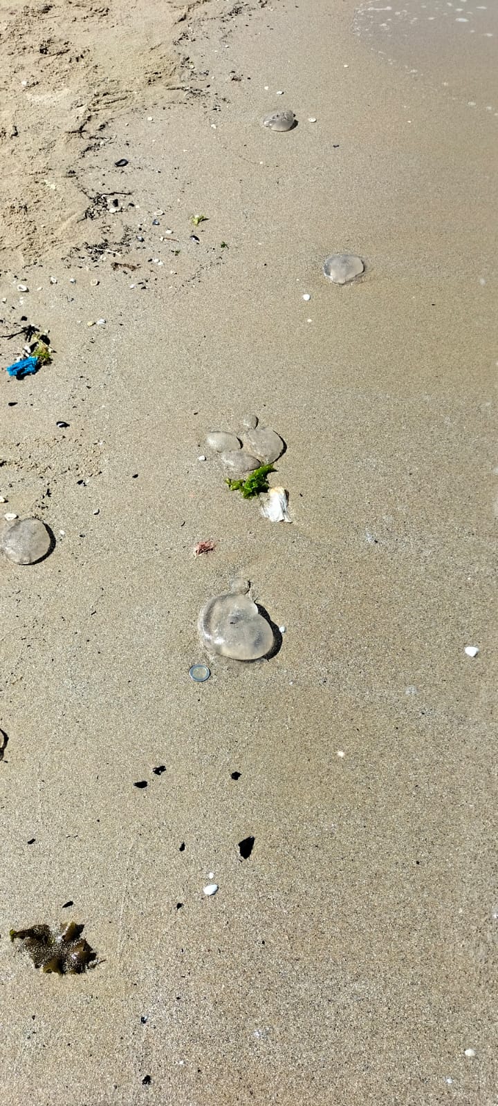 Stranding STR0183