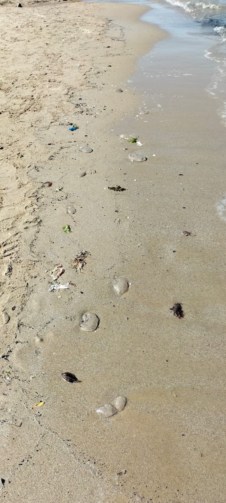 Stranding STR0188
