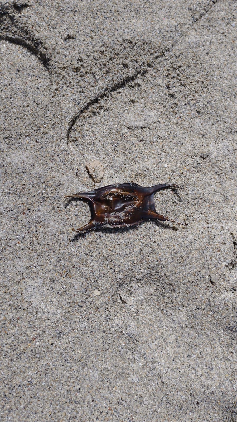 Stranding STR0192