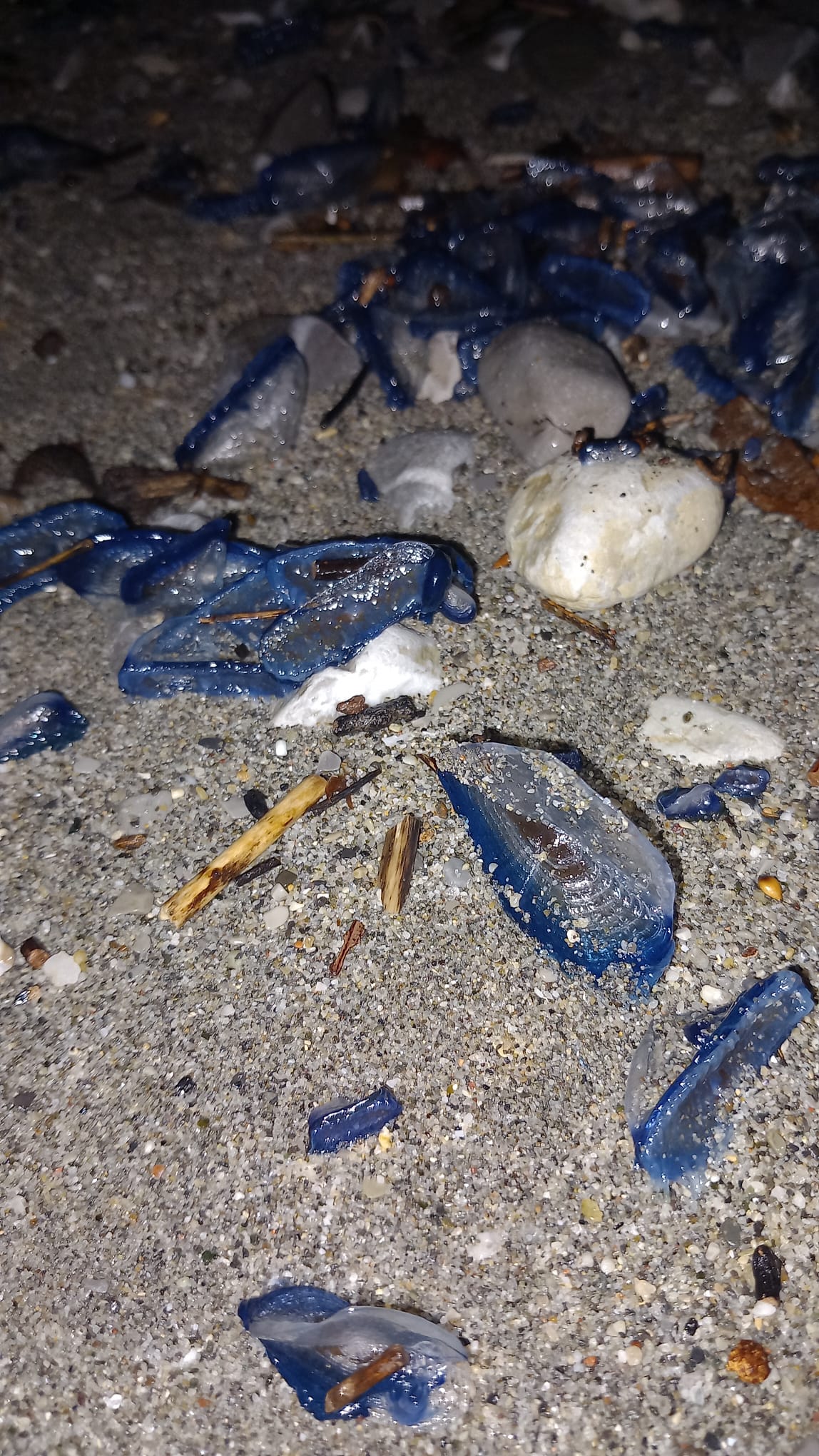 Stranding STR0193