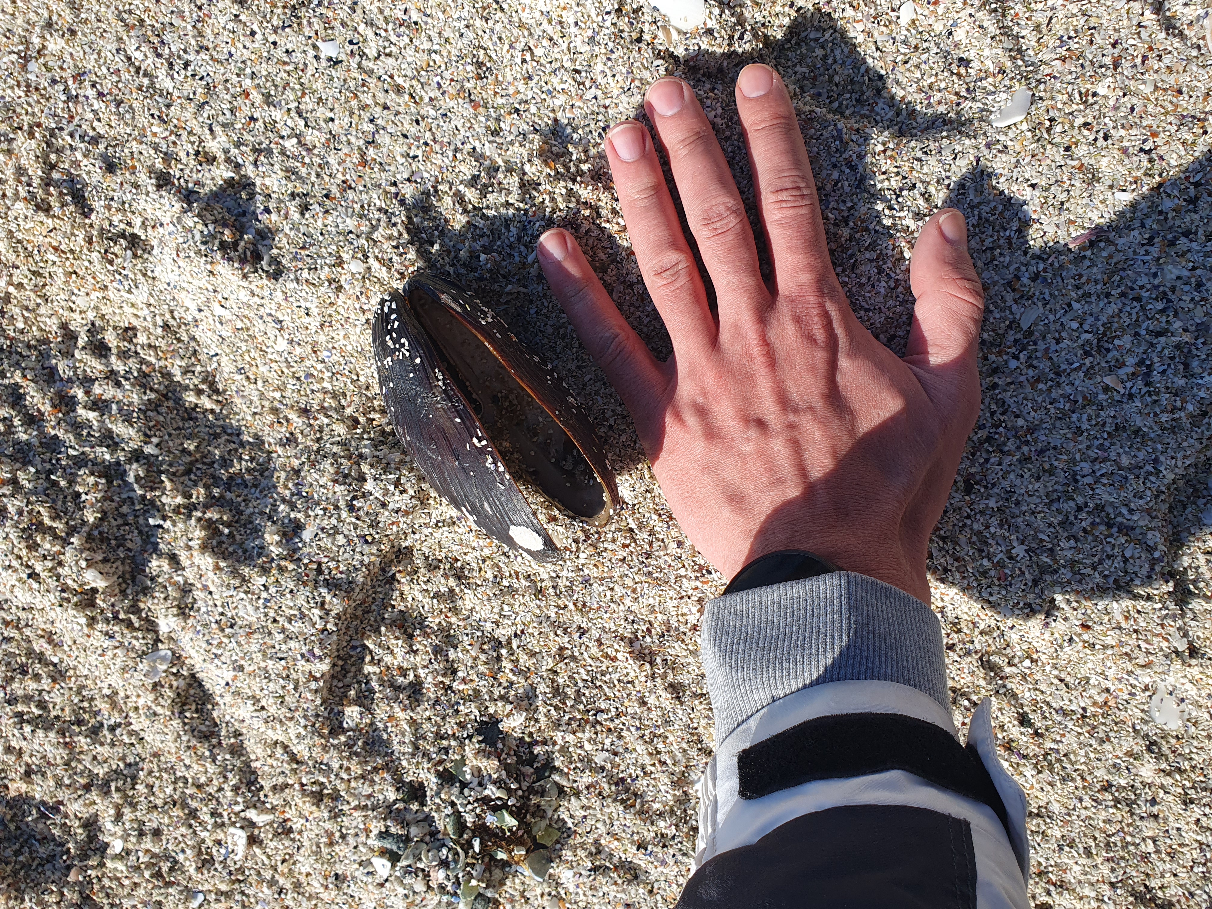 Stranding STR0195