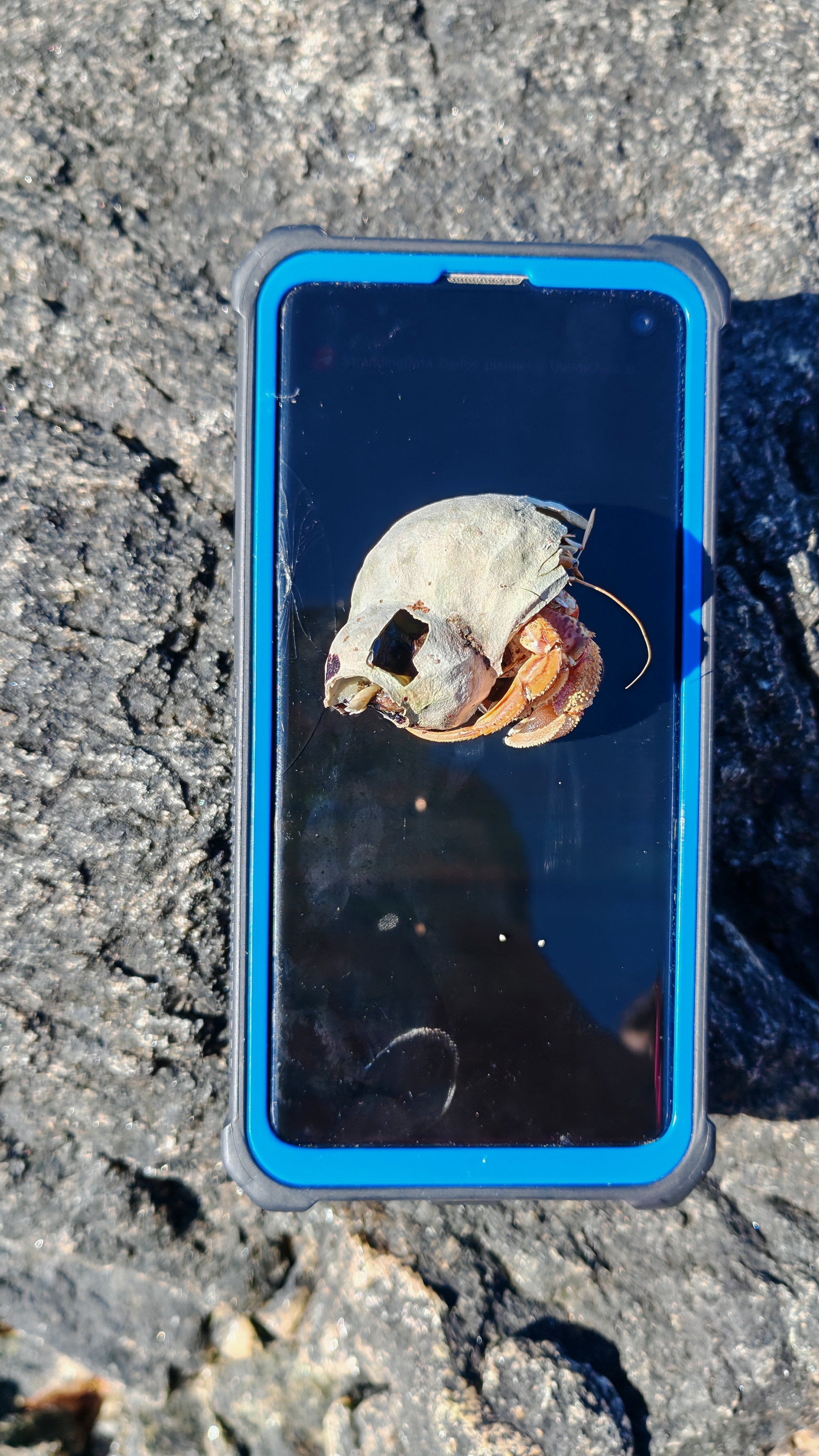 Stranding report STR0201
